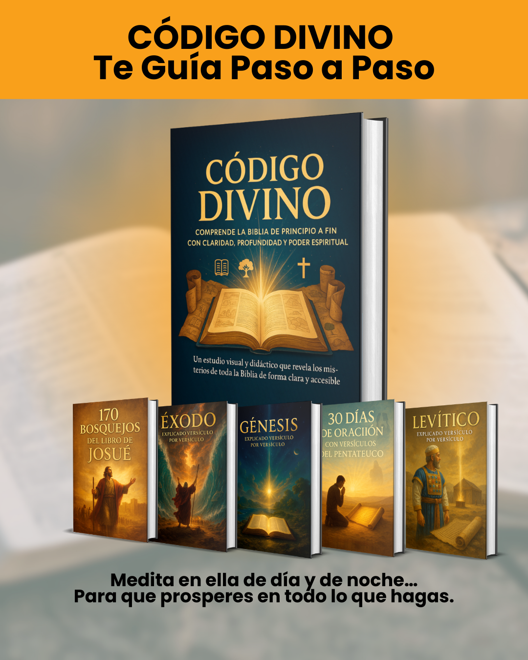 Índice e conteúdo